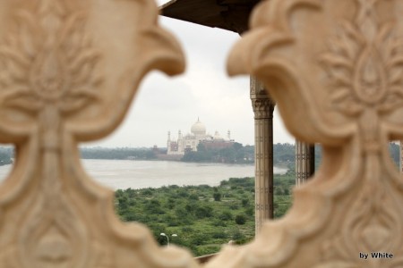 TAj Mahal z Agra Fortu