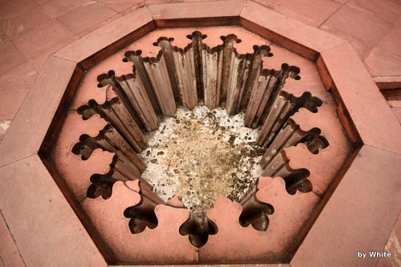 Agra Fort - detal