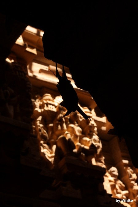 DÅ¼inijskie Å›wiÄ…tynie - Jaisalmer