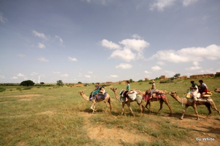 Jaisalmer Camel Safari