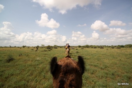 Jaisalmer Camel Safari