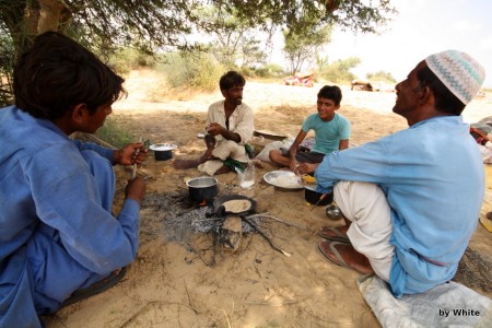 Jaisalmer Camel Safari