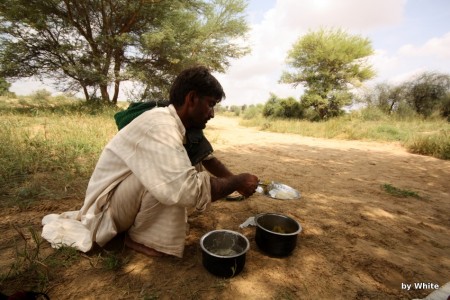 Jaisalmer Camel Safari