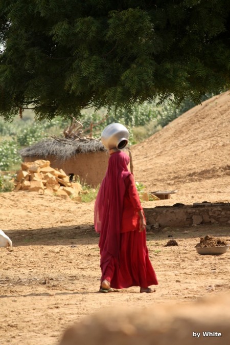 Jaisalmer Camel Safari