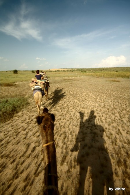 Jaisalmer Camel Safari