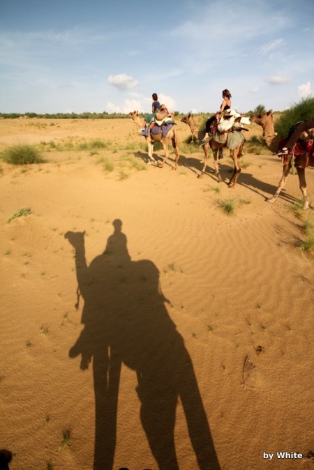 Jaisalmer Camel Safari