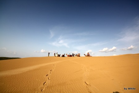 Jaisalmer Camel Safari