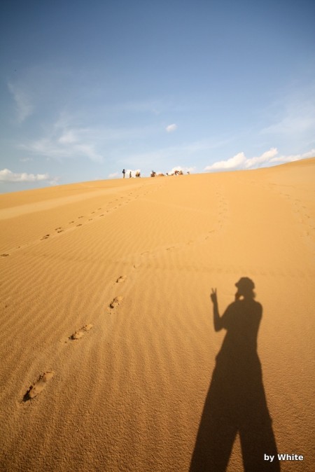 Jaisalmer Camel Safari