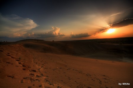 Jaisalmer Camel Safari