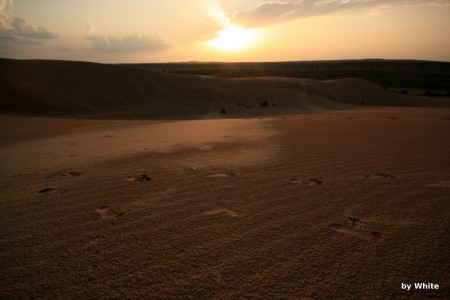 Jaisalmer Camel Safari