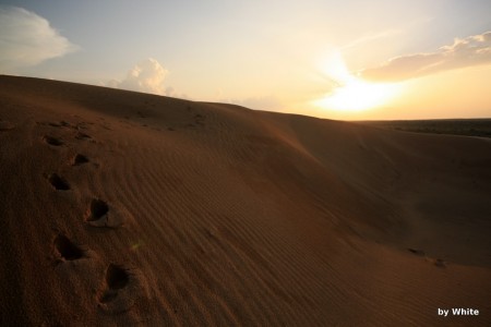 Jaisalmer Camel Safari