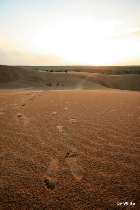 Jaisalmer Camel Safari