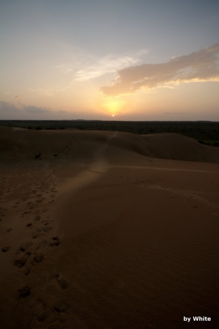 Jaisalmer Camel Safari