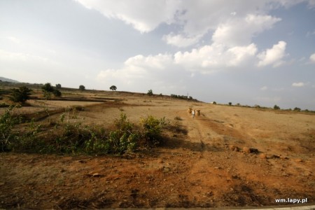 Chiraidongri, Madhya Pradesh, India