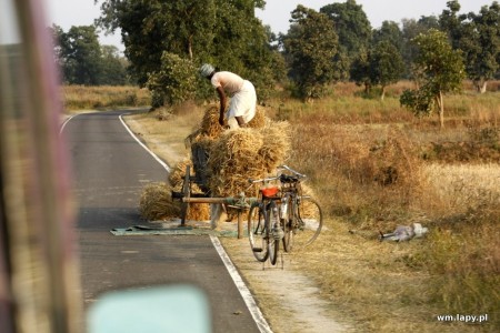 Chiraidongri, Madhya Pradesh, India