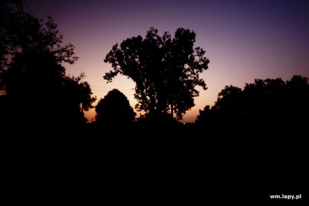 Dhanwār, Madhya Pradesh, India