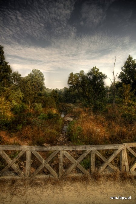 KÄnha, Madhya Pradesh, India