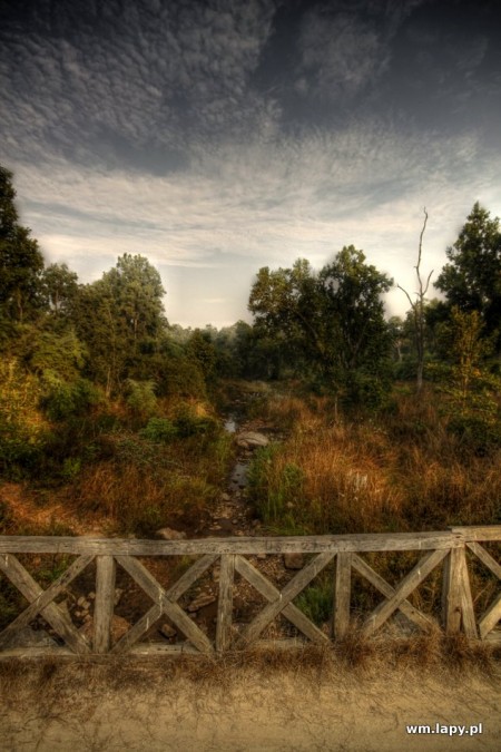 Kānha, Madhya Pradesh, India