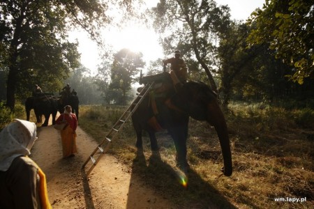 Kānha, Madhya Pradesh, India