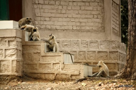 DhanwÄr, Madhya Pradesh, India
