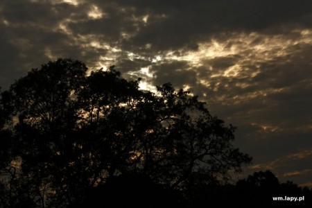 Kānha, Madhya Pradesh, India