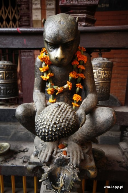 Jawlakhel, Patan, Nepal